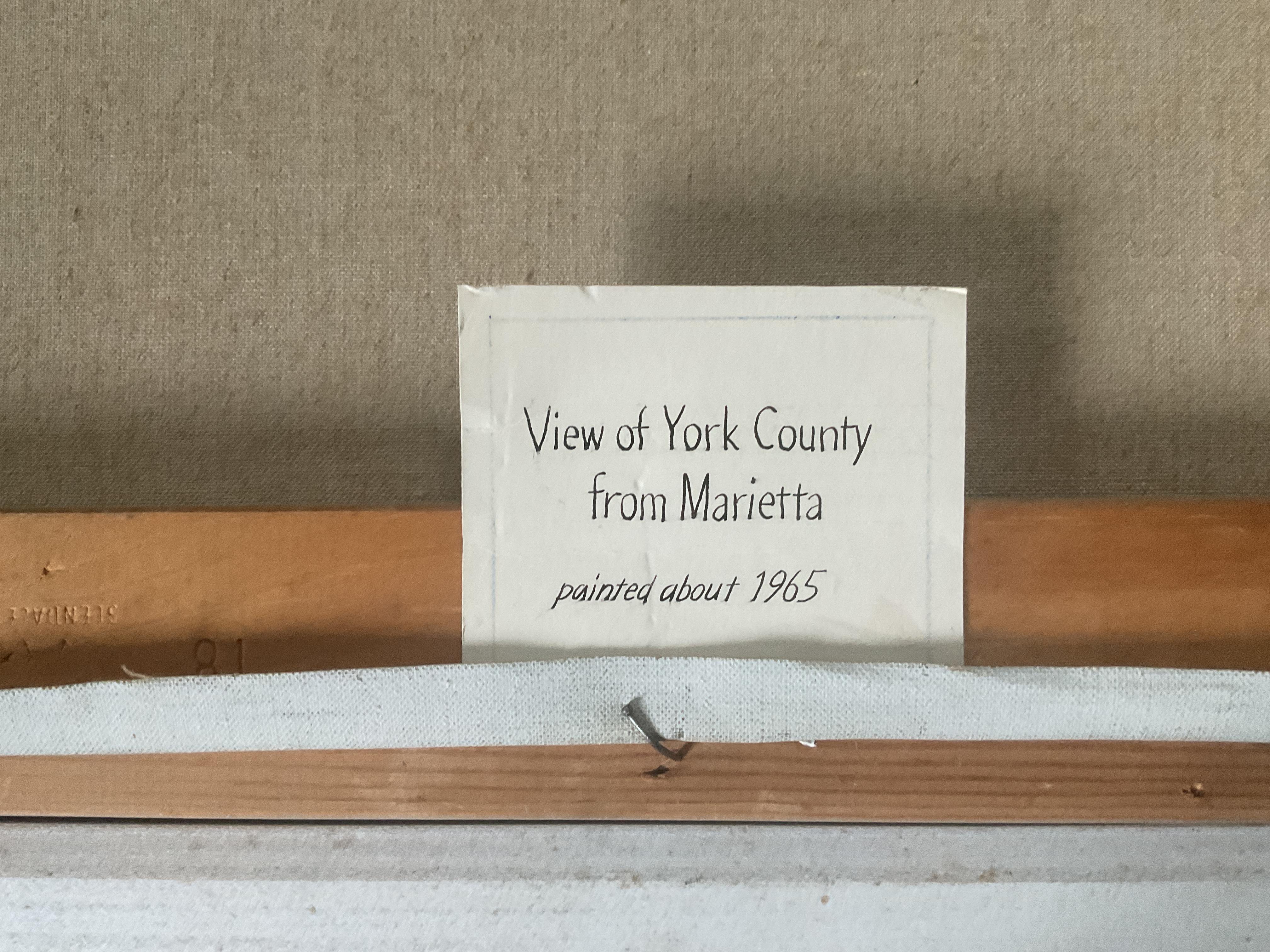 Peinture à l'huile moderne de Pennsylvanie, Scène de la rivière Susquehanna - Vue du County en vente 1