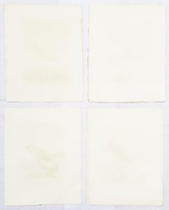 Set of Four Hand-Colored Ornithological Engravings by John Latham /// Bird UK