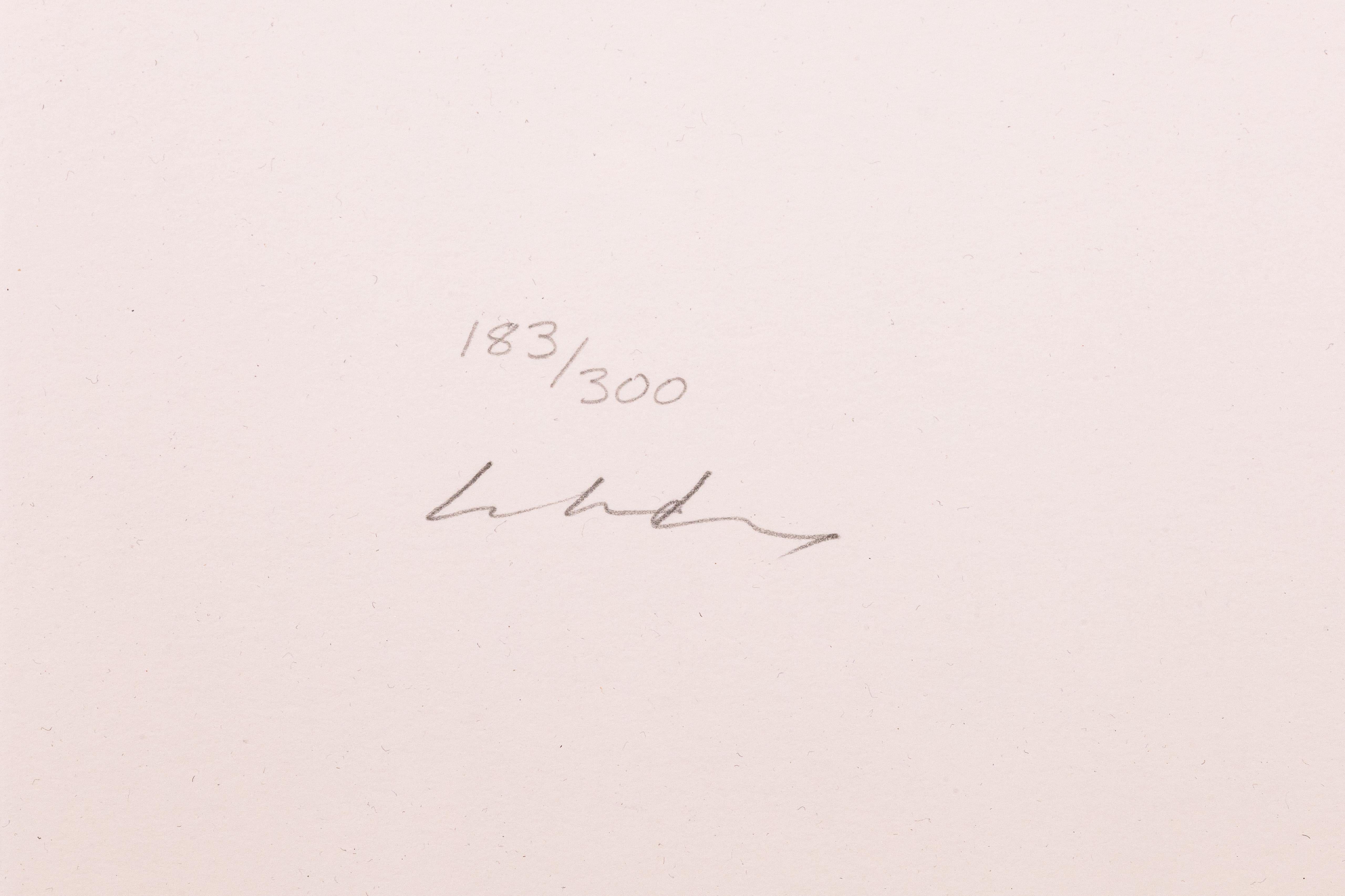 John Lennon Free as a Bird Silkscreen 183/300 Hand Signed Yoko Ono Lennon 1995 2