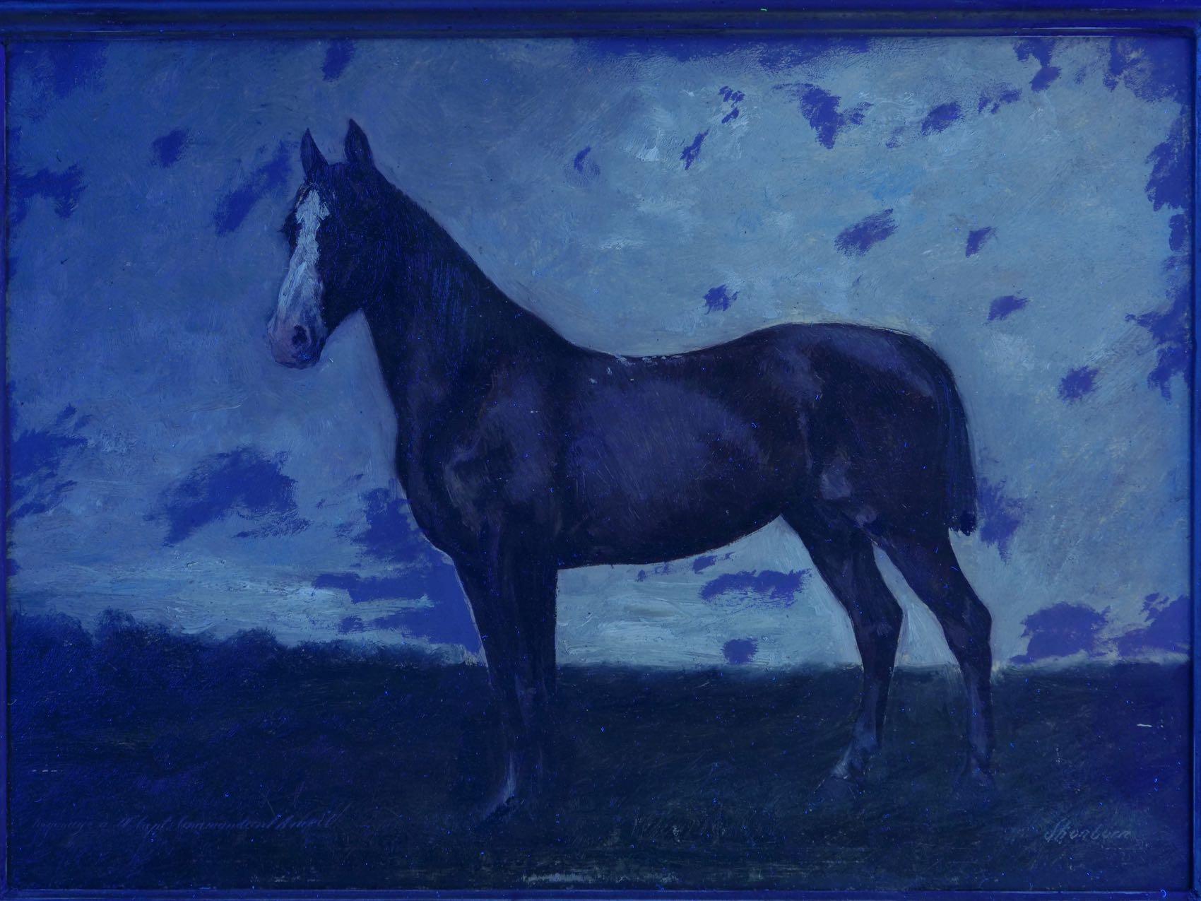 John Lewis Shonborn (American, 1852-1931) Equestrian Thoroughbred Oil Painting 8