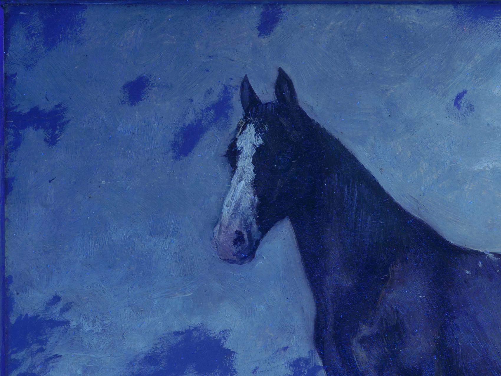 John Lewis Shonborn (American, 1852-1931) Equestrian Thoroughbred Oil Painting 9