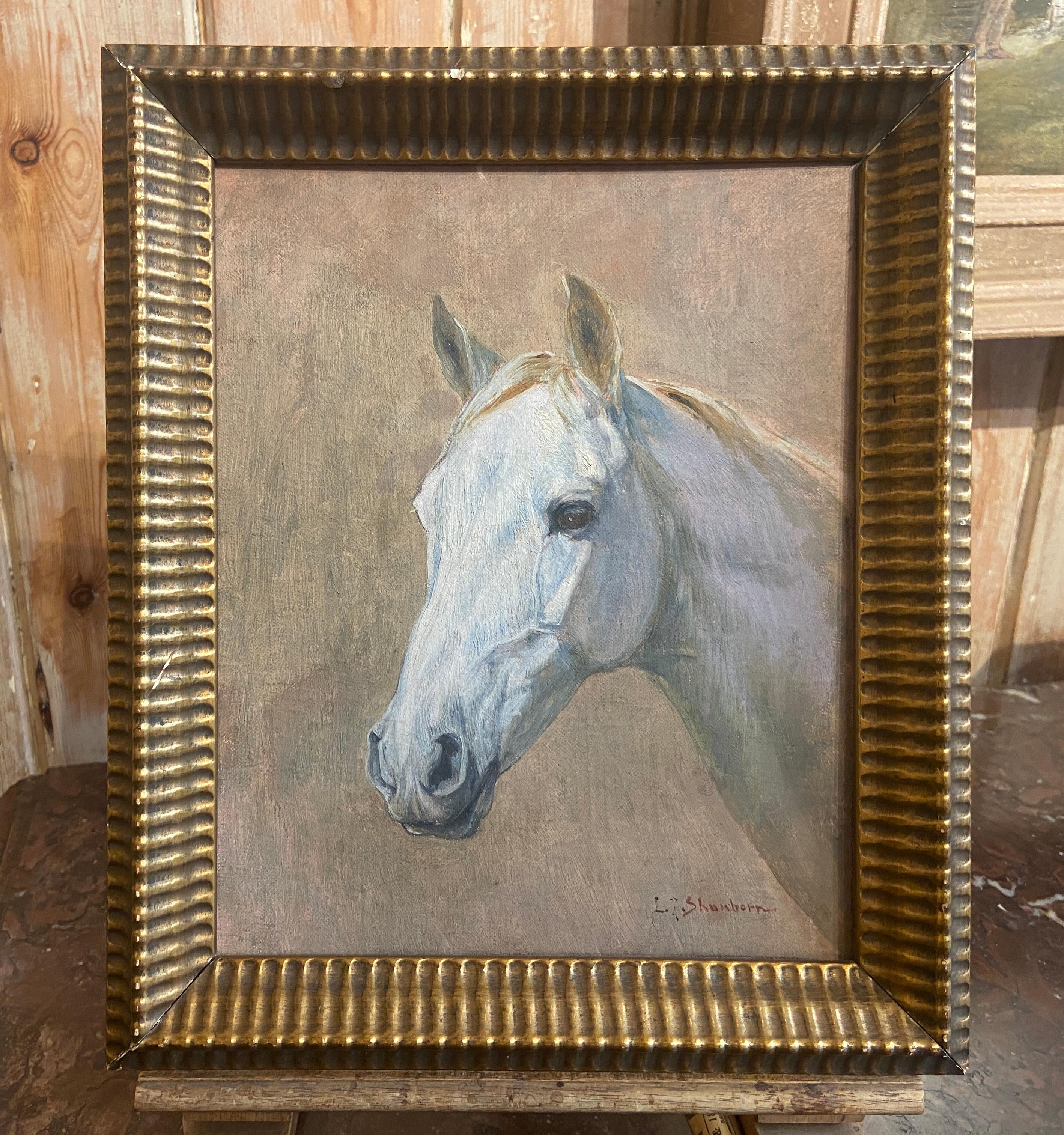 Head of a Arab Horse - Painting by John Lewis Shonborn