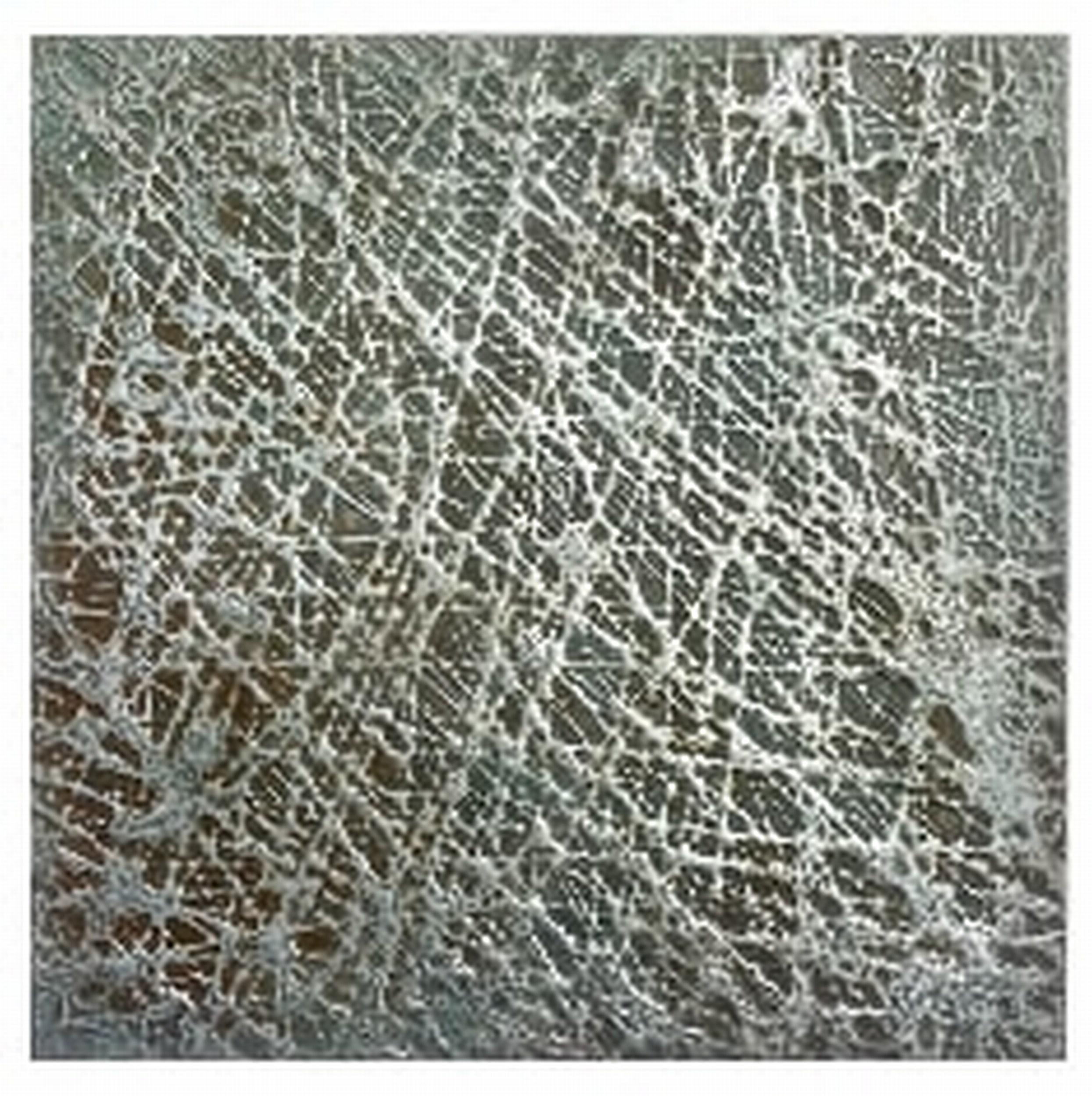 24x24-05-24-2015 - Mixed Media Art di John Marak