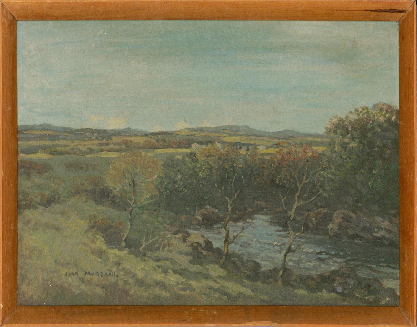 A pleasant oil painting on canvas by John Marshall, depicting a countryside landscape with endless green fields and hills in the background. The artist's use of rapid brush strokes and varying paint application adds a scene of movement to the scene.