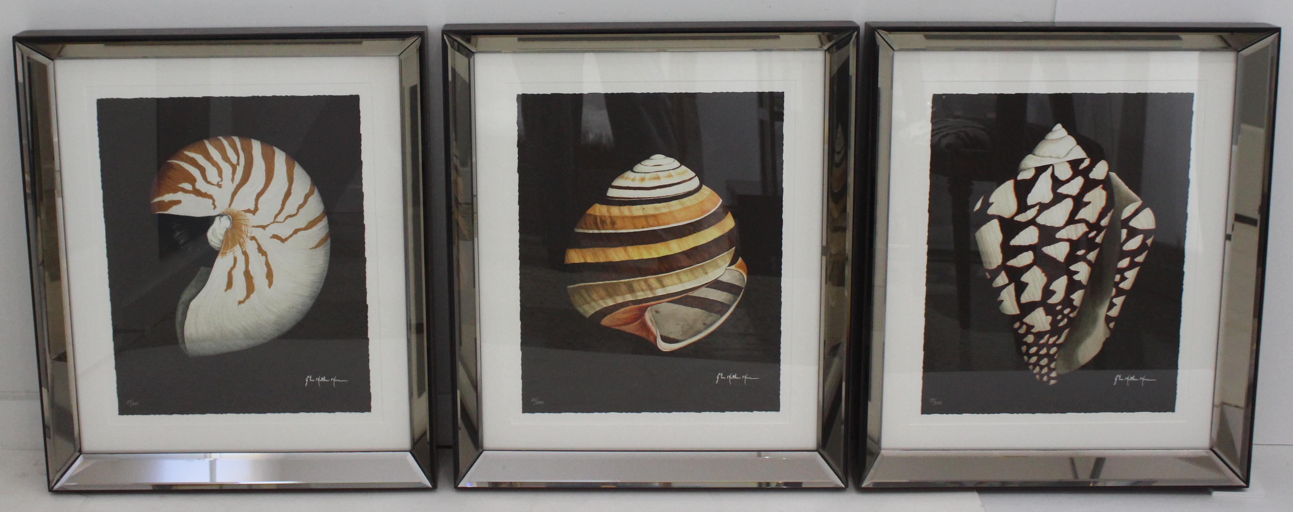 American John Matthew Moore Shell Prints 2006 in Custom Mirror Frames, a Set of 3