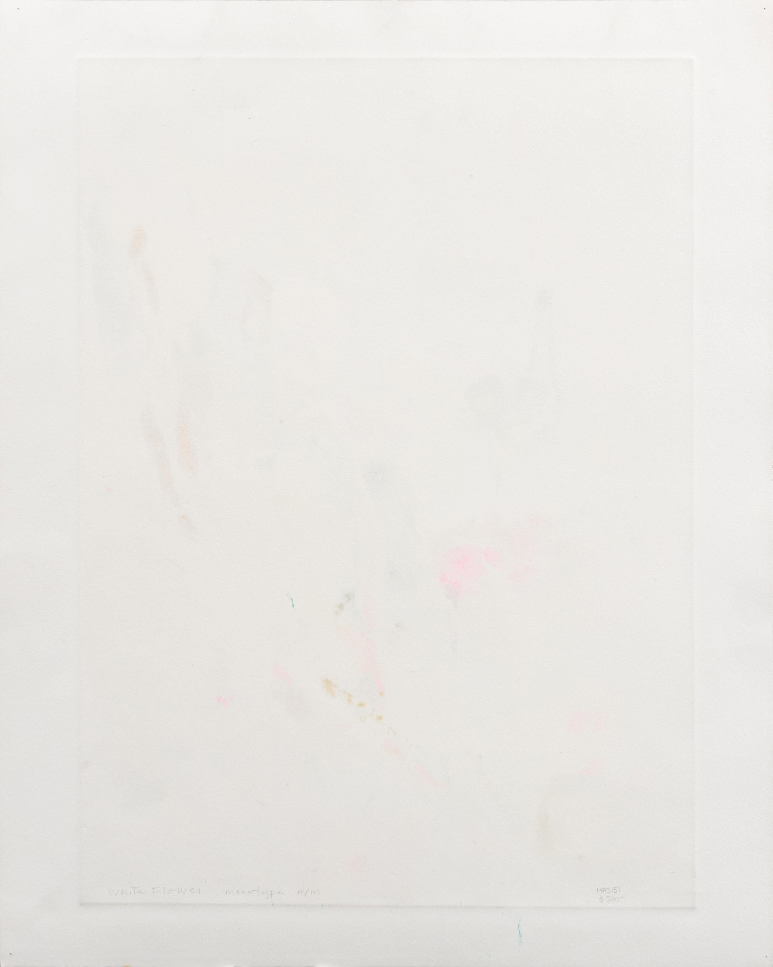 'White Iris', Paesaggio post-impressionista californiano, SJSU, Mount Madonna in vendita 4