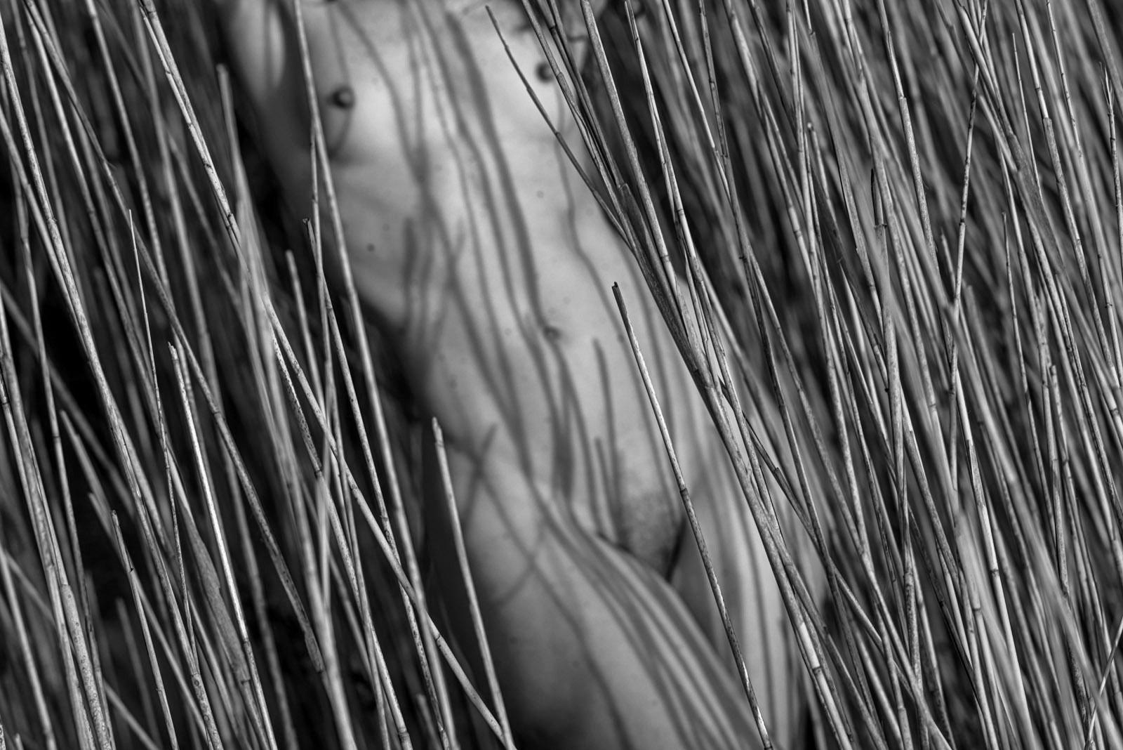 "Torso en juncos"- Desnudo abstracto en blanco y negro en la naturaleza