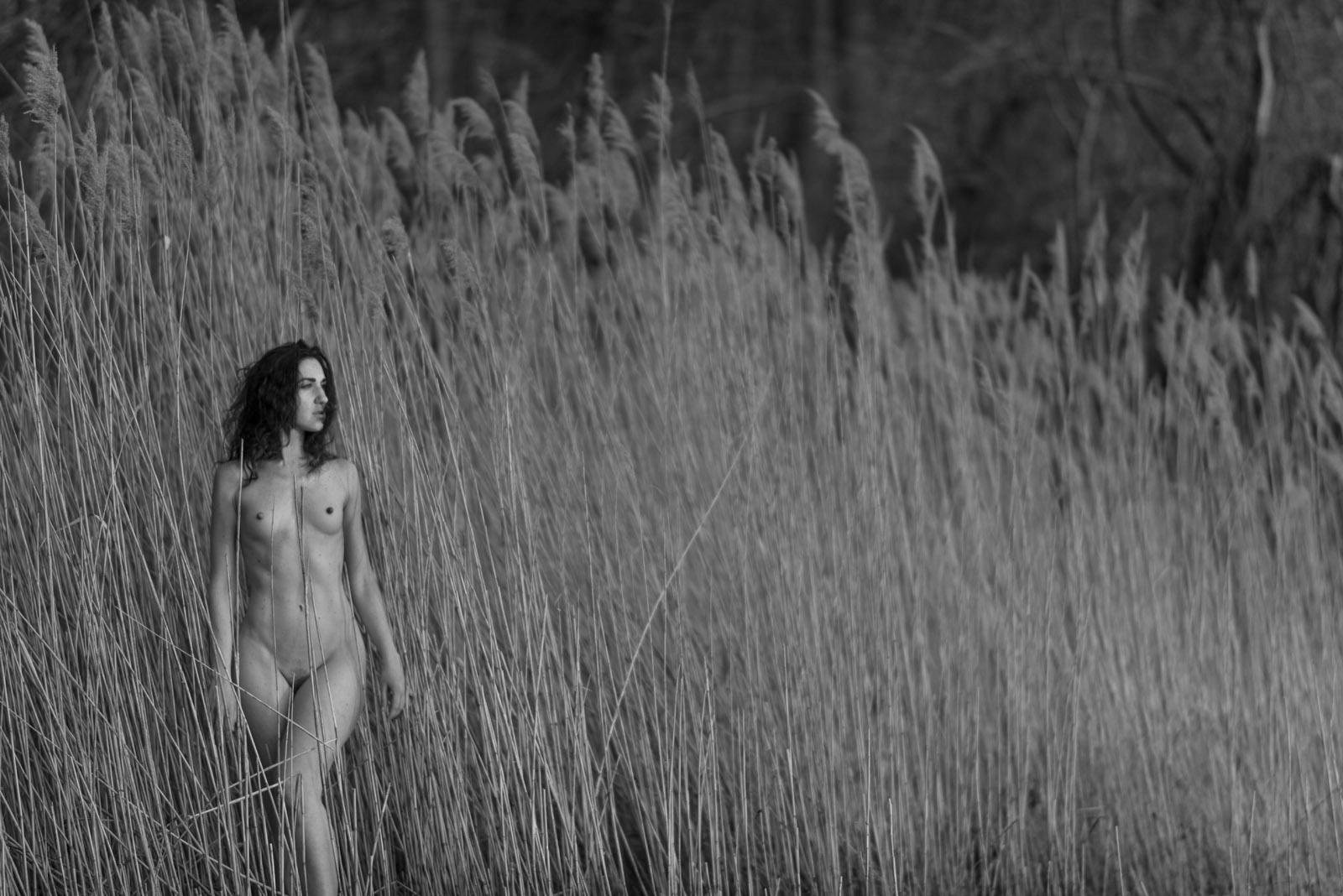 John Mazlish Nude Photograph – Frau im Schilf