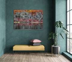 "Sag Harbor Autumn Pond"- Riflesso colorato del fogliame autunnale, Sag Harbor, NY