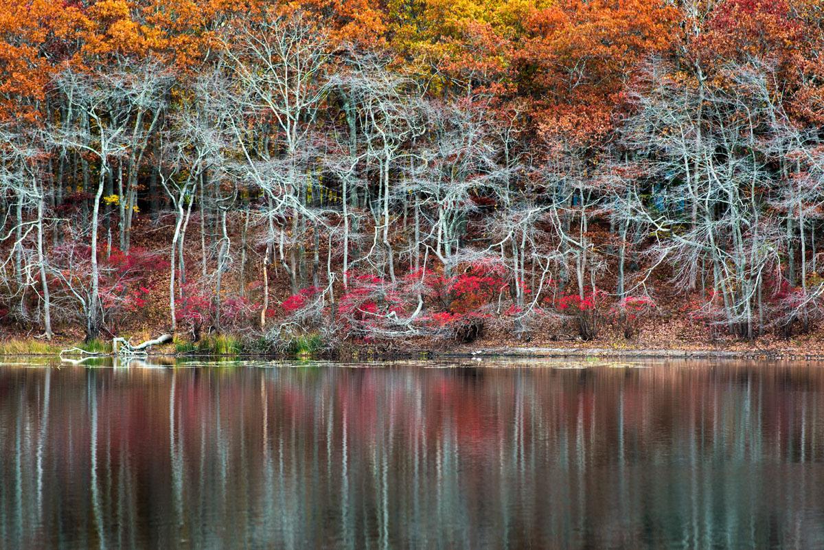 "Sag Harbor Autumn Pond"- Colorful Autumn Foliage Reflection, Sag Harbor, NY