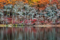 "Sag Harbor Autumn Pond"- Colorful Autumn Foliage Reflection, Sag Harbor, NY
