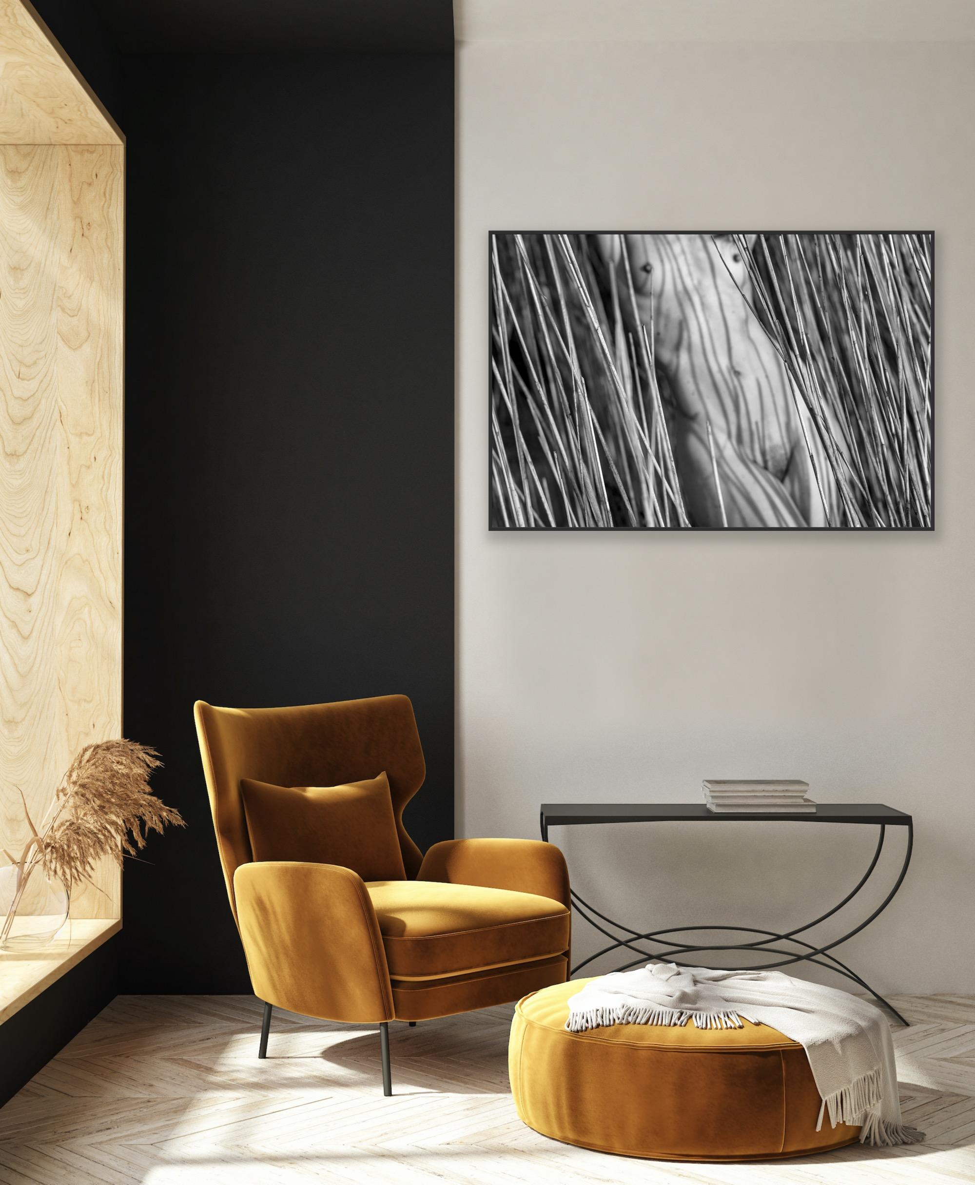 „Torso in Reeds“ – Abstrakter Schwarz-Weiß-Akt der bildenden Kunst (Zeitgenössisch), Photograph, von John Mazlish