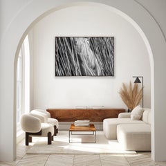 "Torso in Reeds"- Abstract Black & White Fine Art Nude