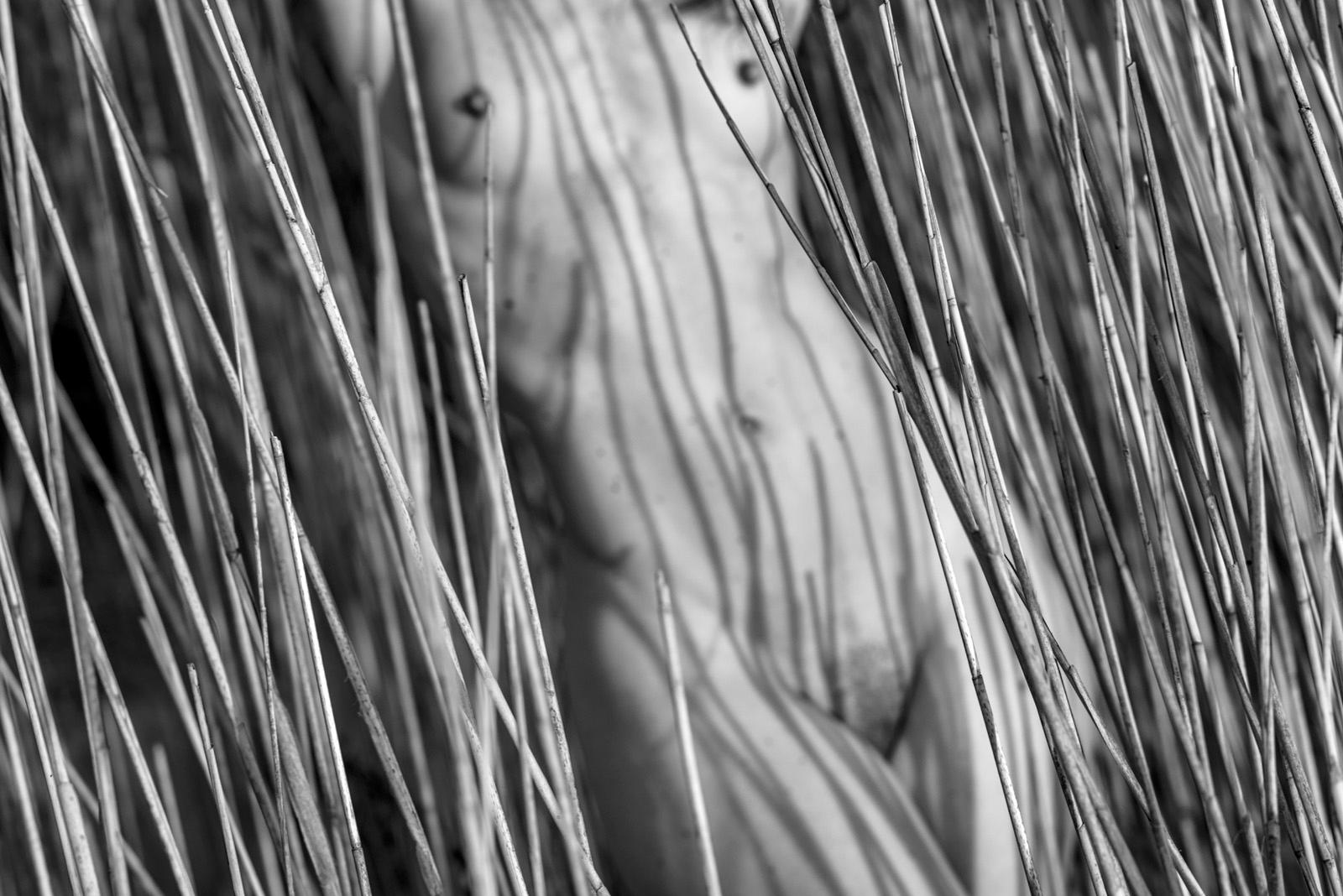„Torso in Reeds“ – Abstrakter Schwarz-Weiß-Akt der bildenden Kunst