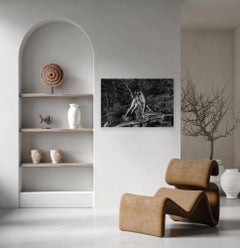 "Twin Flames"- Black and White Fine Art Nude Photo, Nature, Long Island, NY