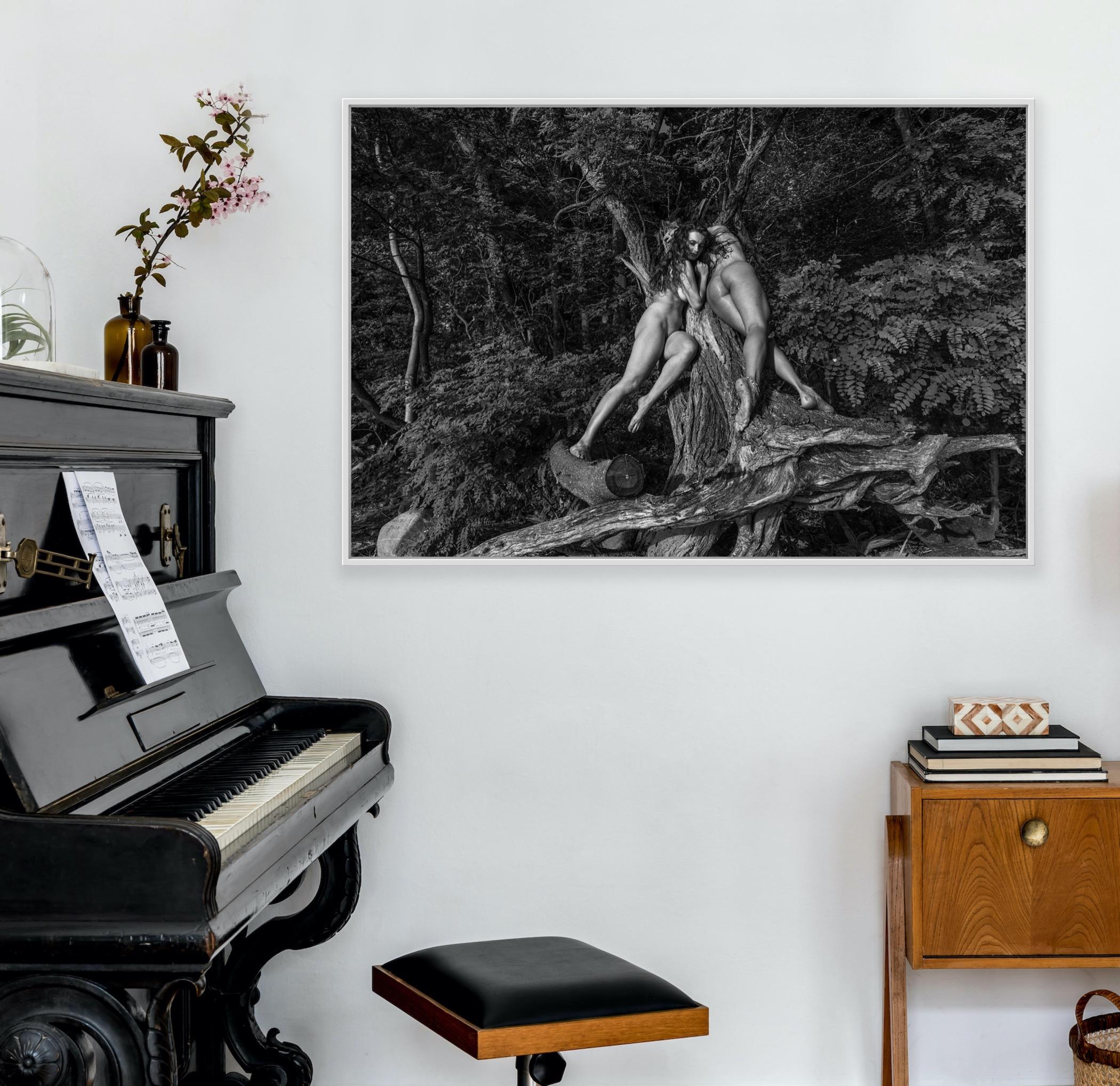 Tourné pendant le verrouillage du covid en juin 2020, alors que la nature semblait être le seul havre de paix. 

Imprimé sur papier d'art d'archivage, monté sur aluminium dibond avec un support de montage flottant. Disponible dans une grande variété