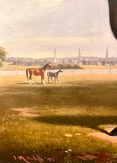 Porträt von Dark Horse