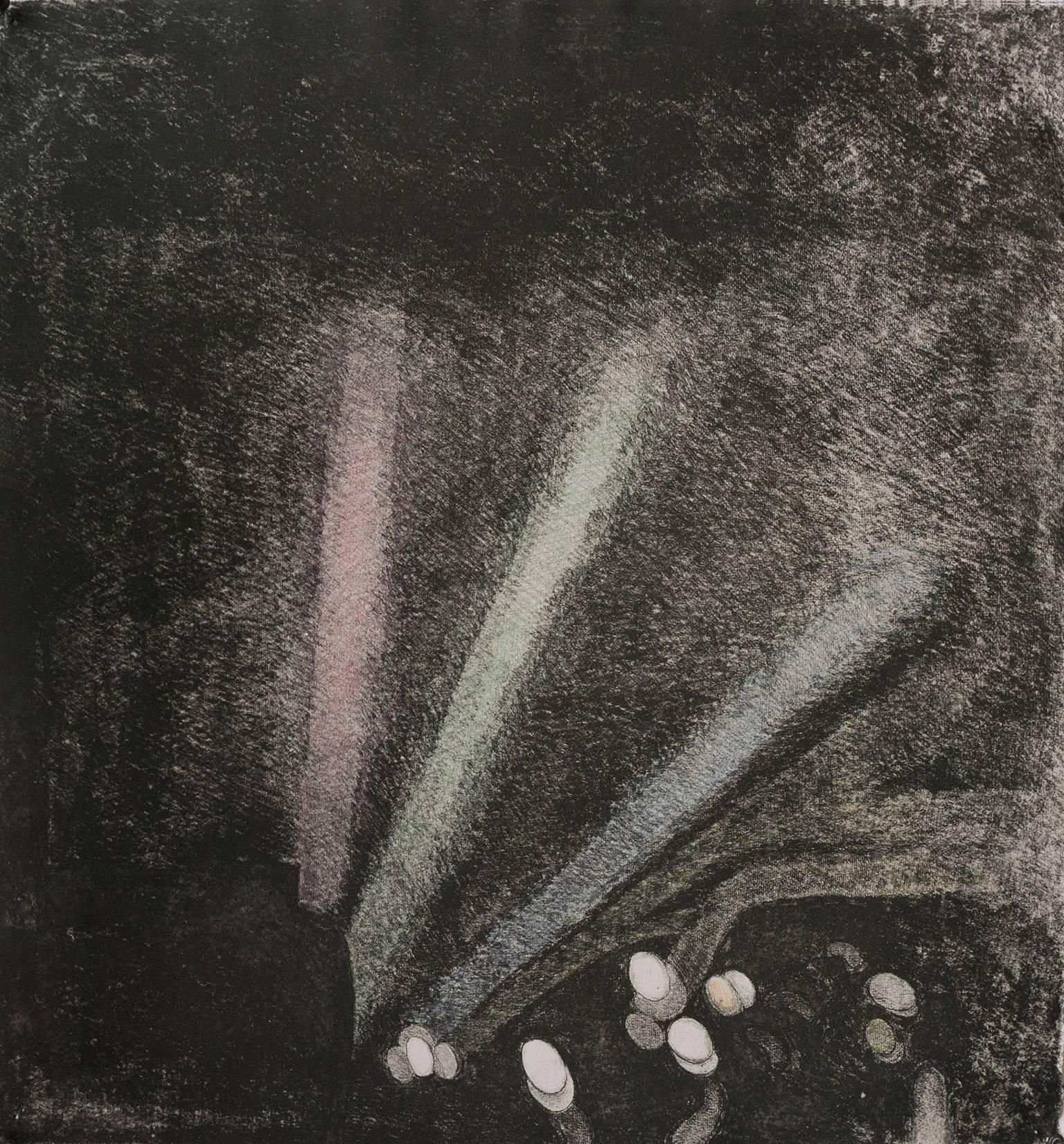 "In The Wake", soft ground still-life print, violet black, red, green, blue. - Print by John McDevitt King