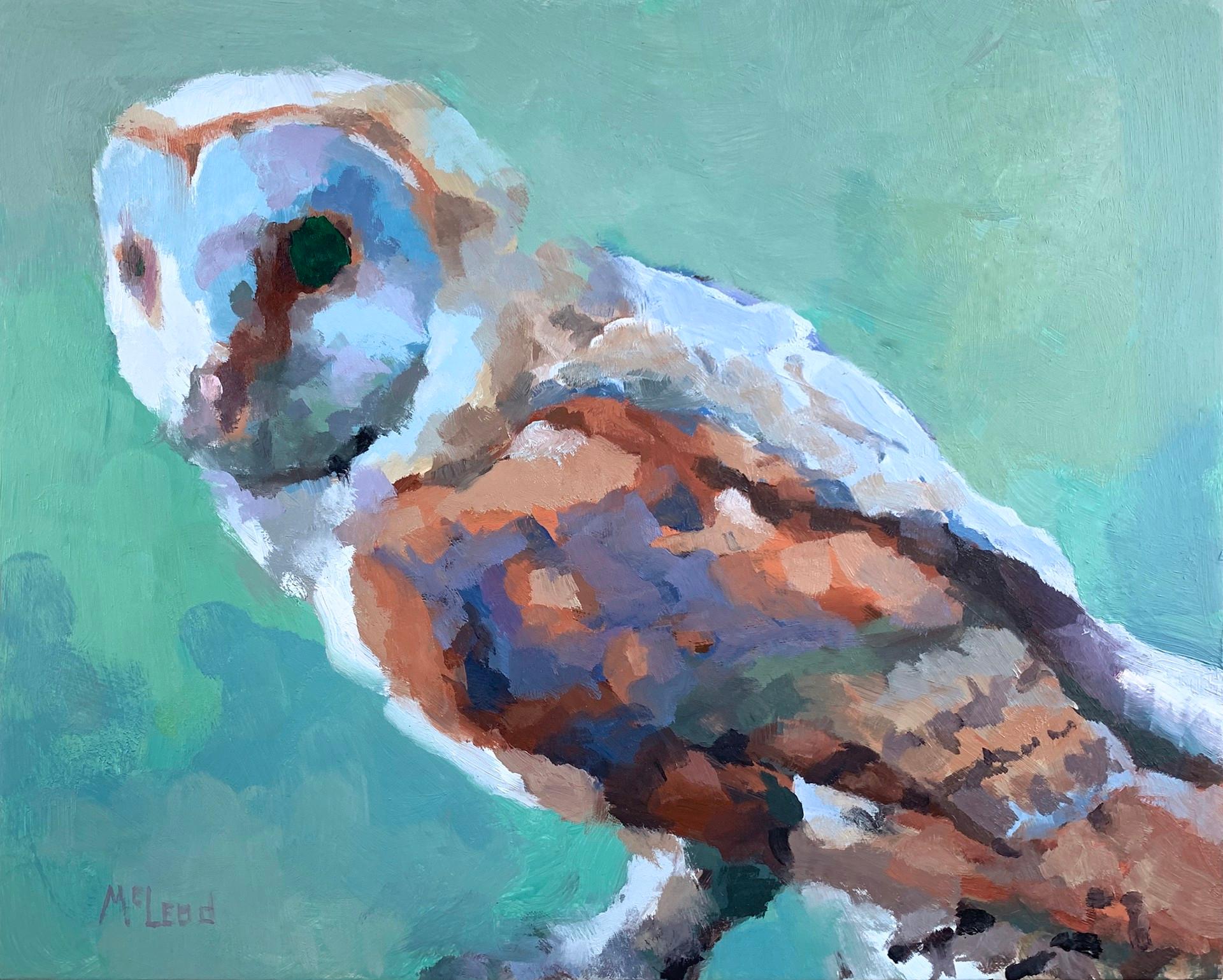 John McLeod Animal Painting - Barn Owl