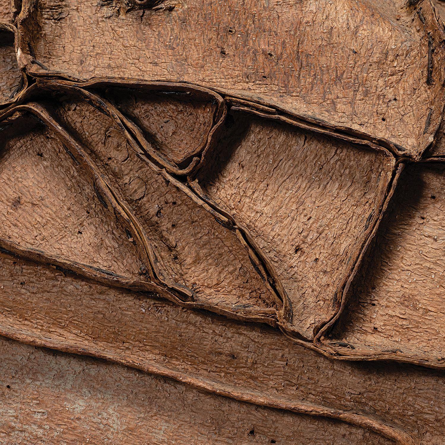 Abstract Tree Bark Sculpture , Alfred Station NY For Sale 1
