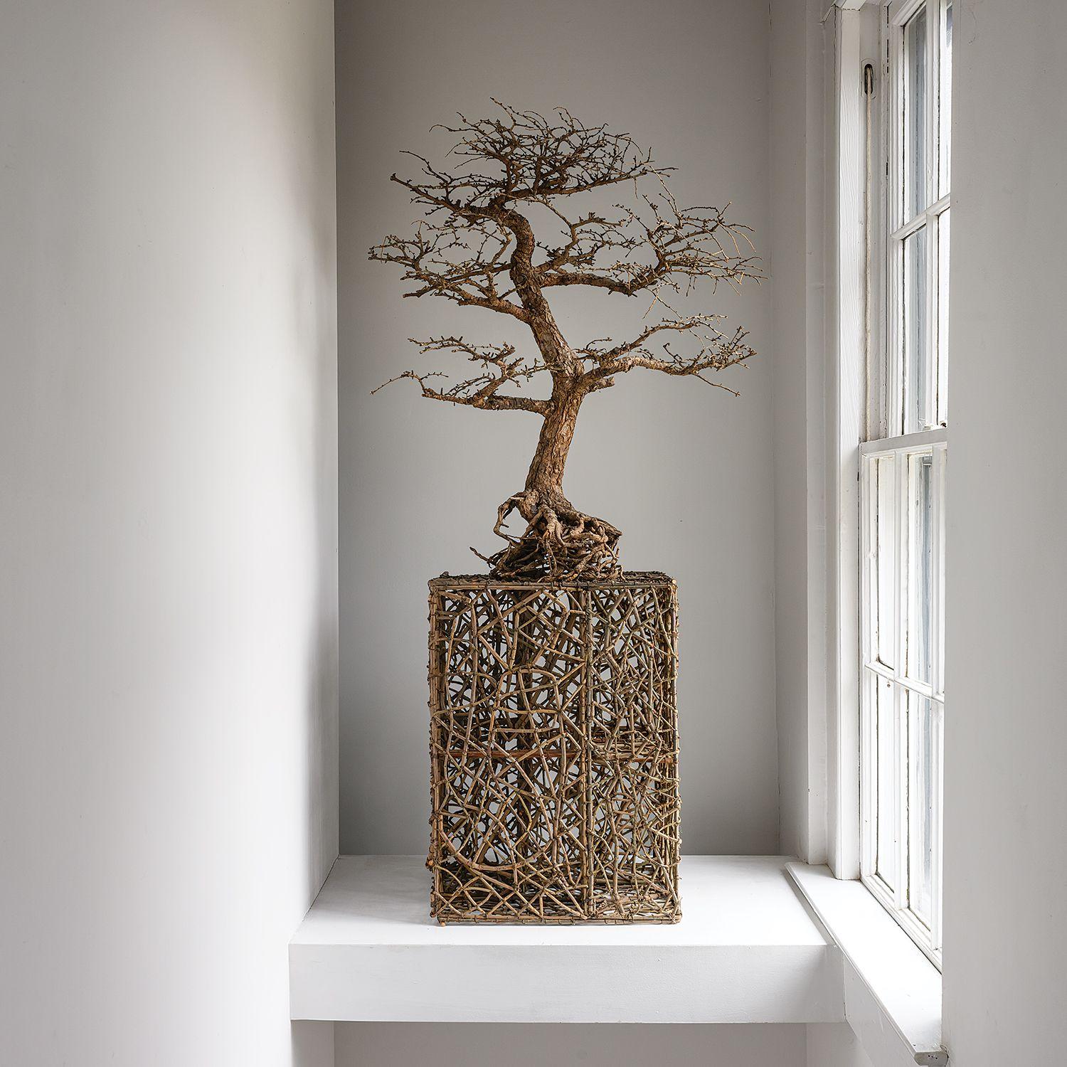 Same Difference - Contemporary Sculpture by John McQueen