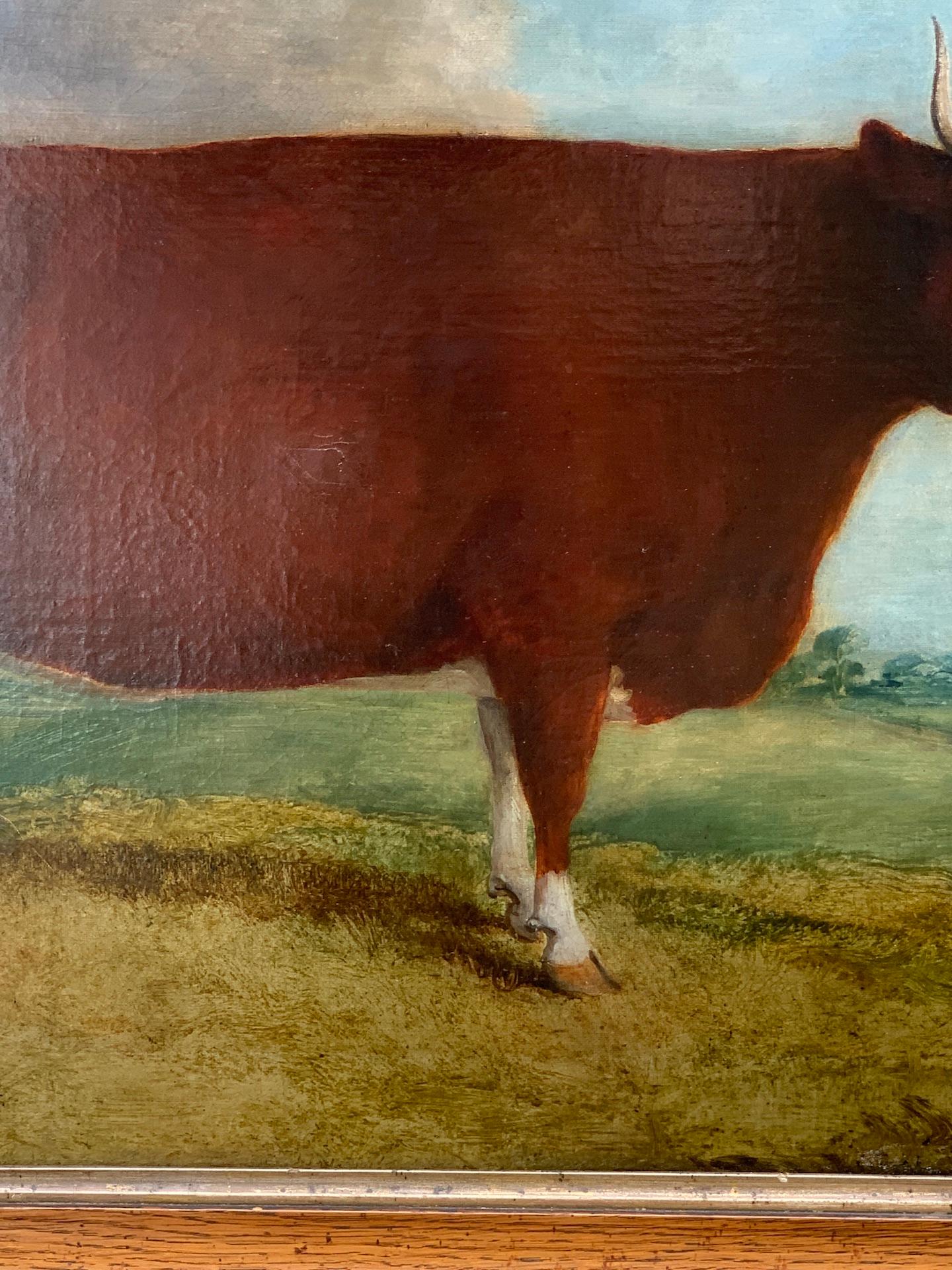 19th century English folk are portrait of a Bull in a landscape  - Folk Art Painting by John Miles of Northleach