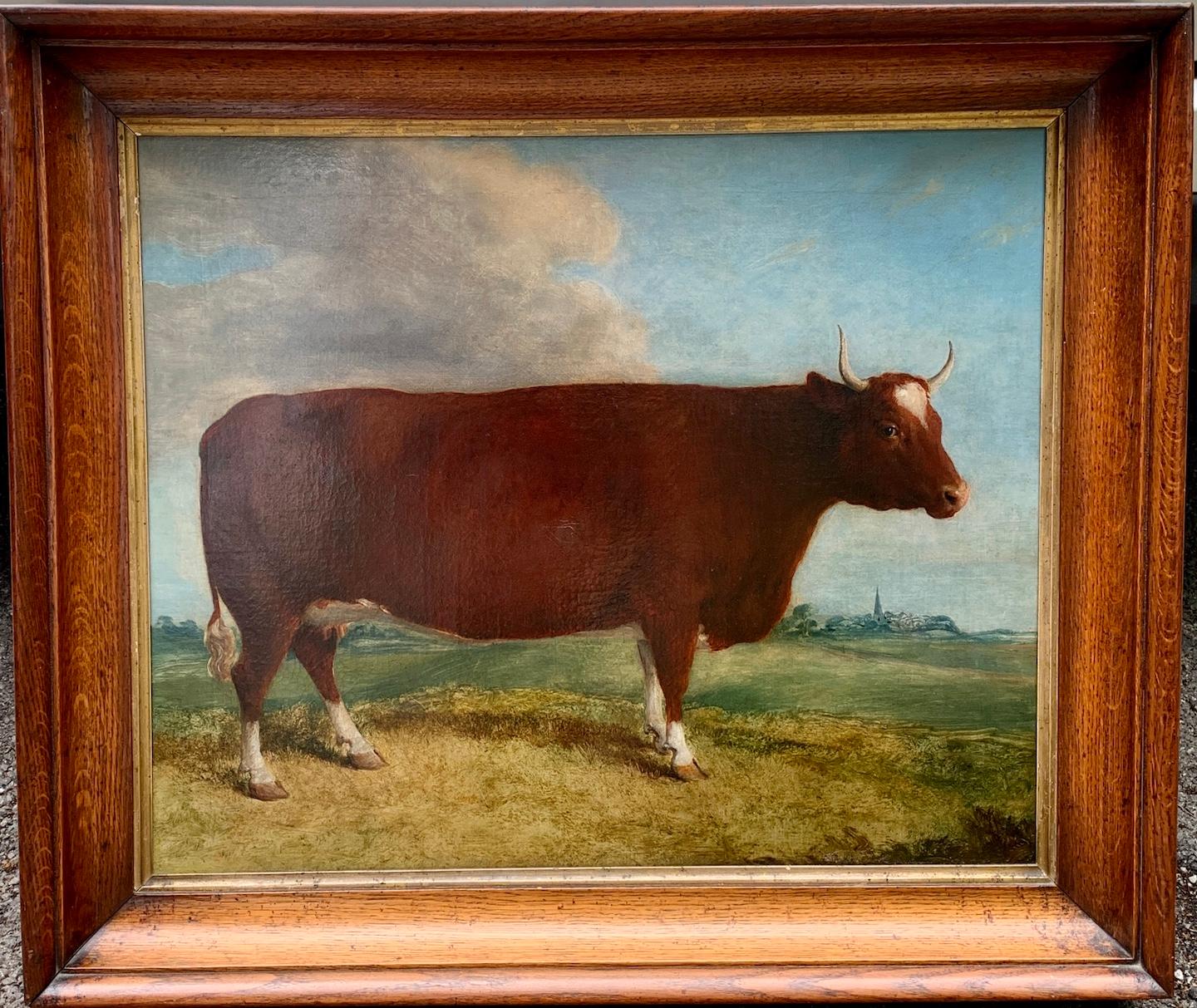 John Miles of Northleach Animal Painting - 19th century English folk are portrait of a Bull in a landscape 