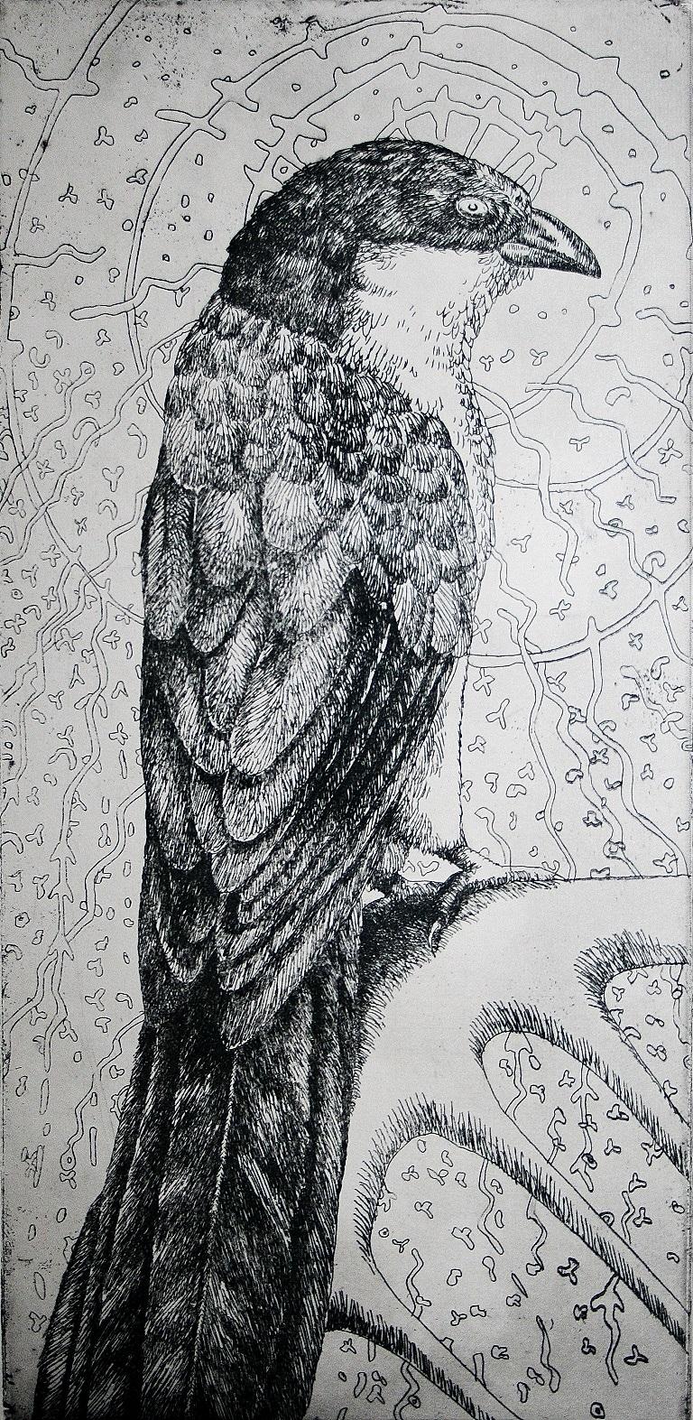 John Moore Animal Print - Magic Bird set: Rain Bird- Contemporary, Etching, 21st Century (framed)