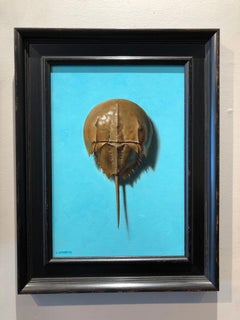 Horseshoe Crab on Blue