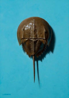 Horseshoe Crab on Blue