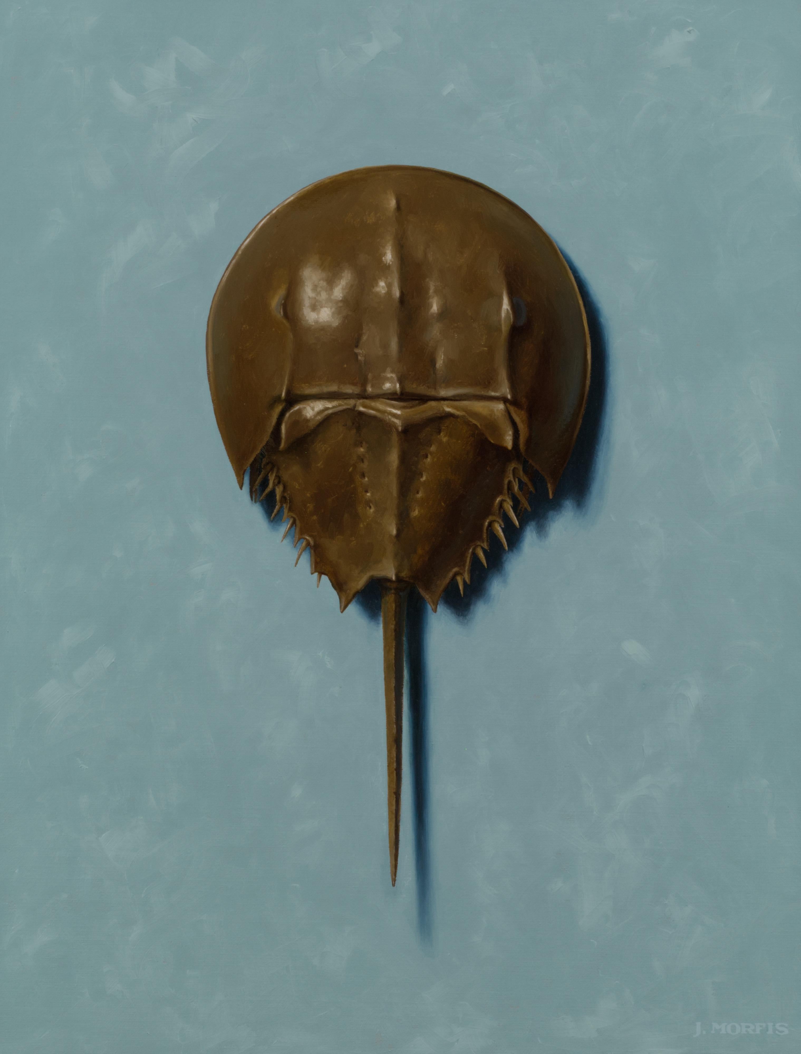 John Morfis Still-Life Painting - Horseshoe Crab on Light Blue