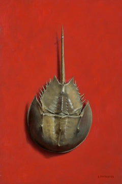 Horseshoe Crab on Red