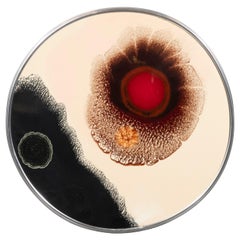 Stop, Look and Listen