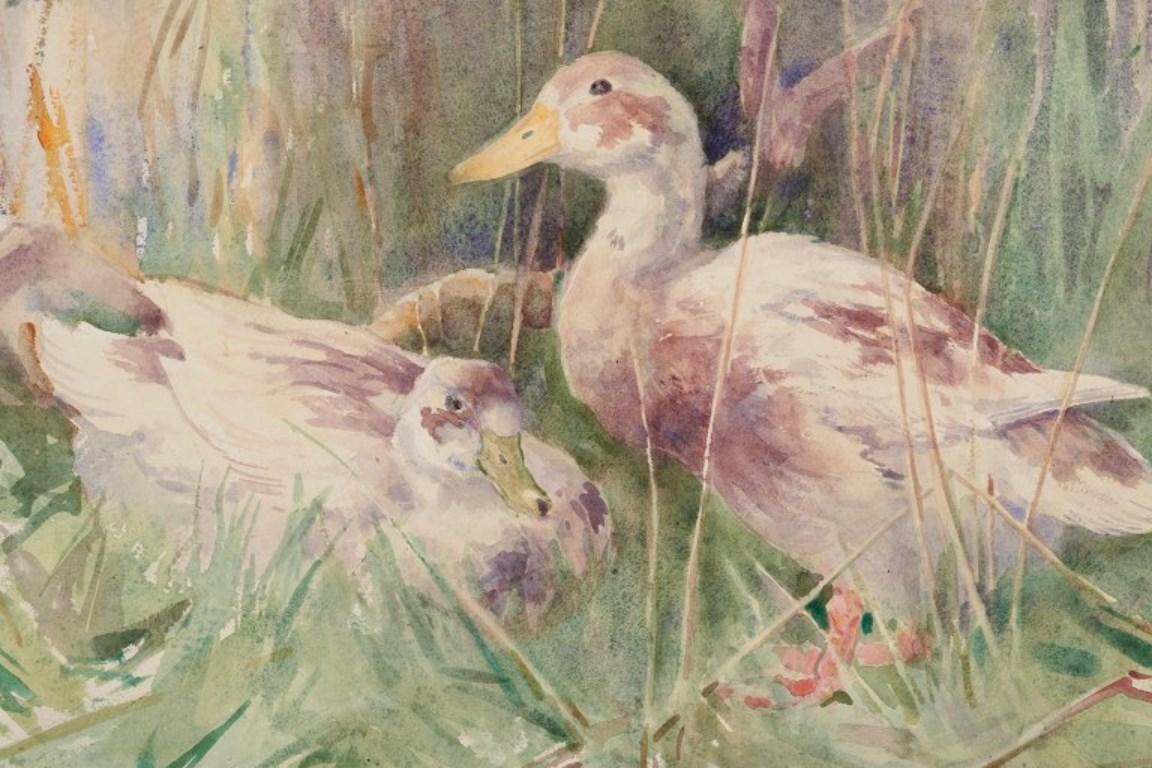 John Murray Thompson, British artist. Watercolor on paper.  Ducks In Excellent Condition For Sale In Copenhagen, DK