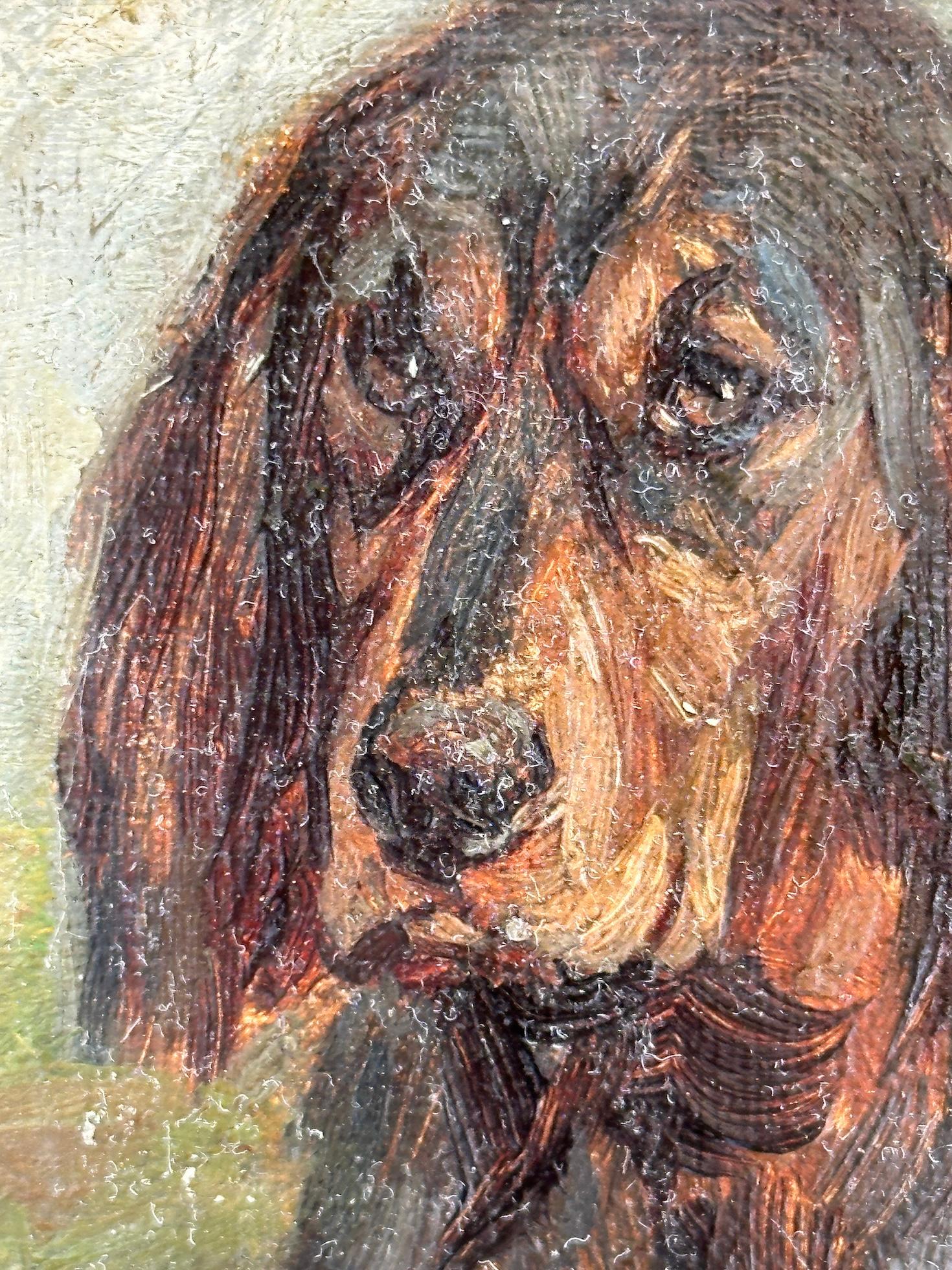 Questo ritratto di cane dei primi del Novecento, opera del famoso pittore scozzese John Murray Thompson (1875-1974), è una straordinaria miscela di maestria artistica e calore emotivo. Thompson, noto per la sua acuta capacità di catturare il