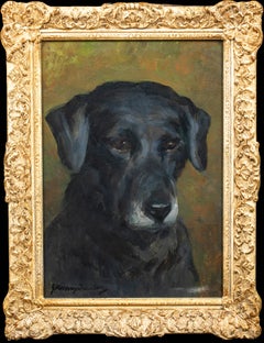 Portrait Of A Black Labrador "Peter", circa 1910  by JOHN MURRAY THOMSON 