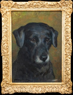 Portrait d'un Labrador noir "Peter", vers 1910 par JOHN MURRAY THOMSON