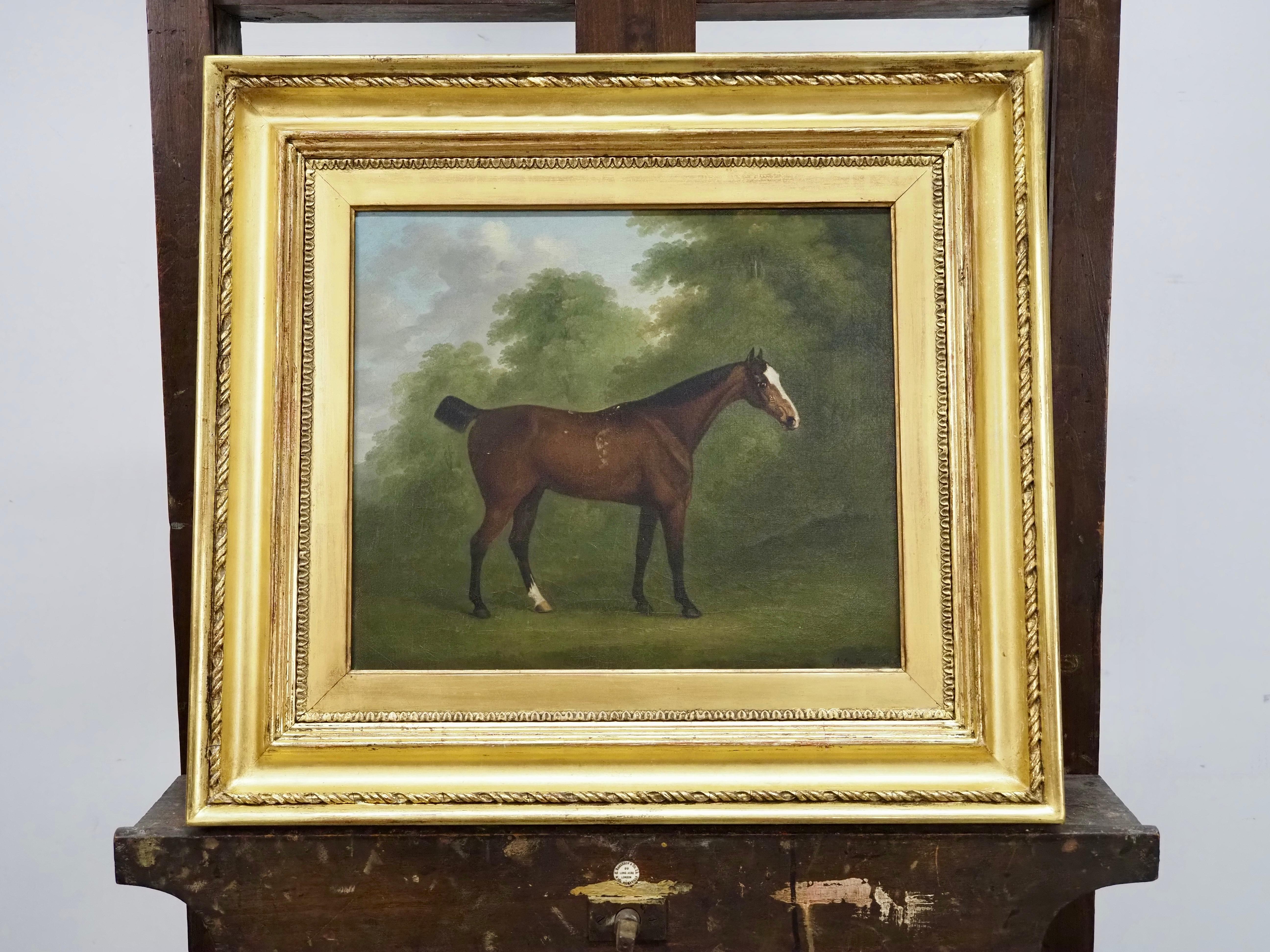 A bay horse in a wooded landscape - Painting by John Nost Sartorius