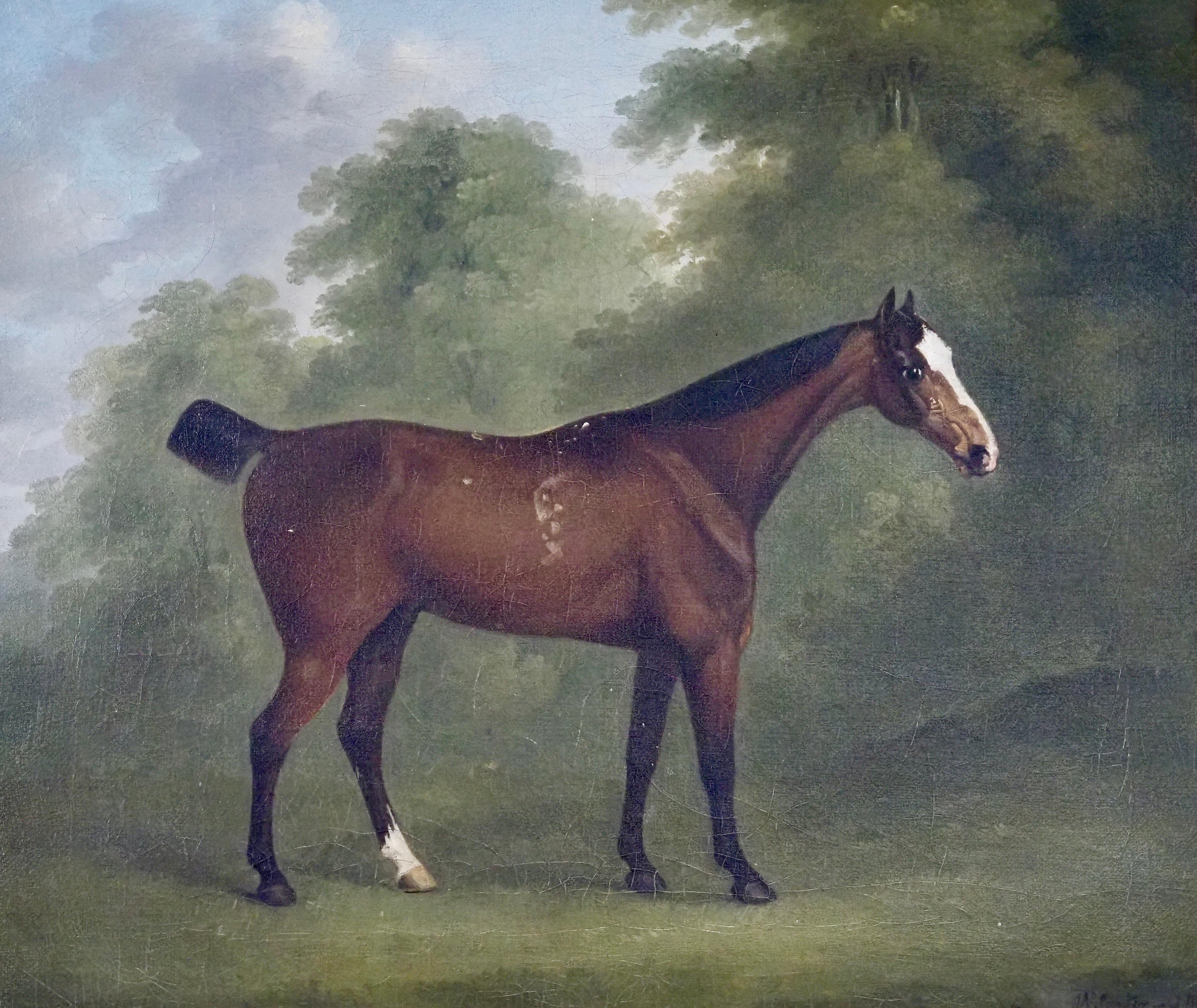 john nost sartorius