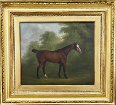 Un cavallo baio in un paesaggio di Wood