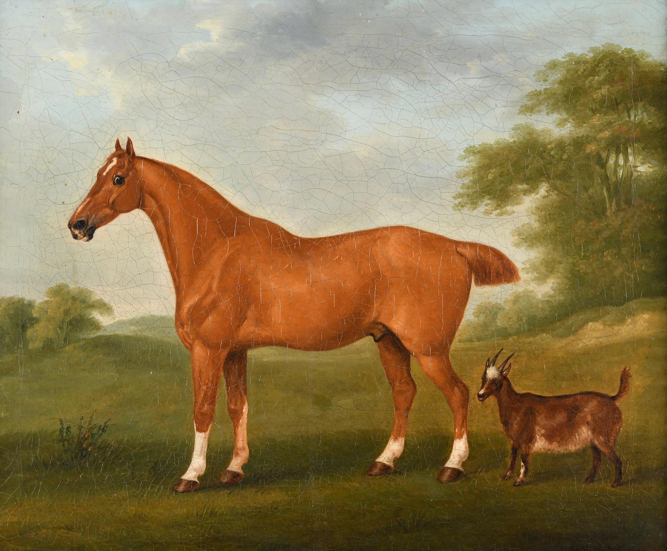 A chestnut horse and a goat in a landscape  - Painting by John Nost Sartorius
