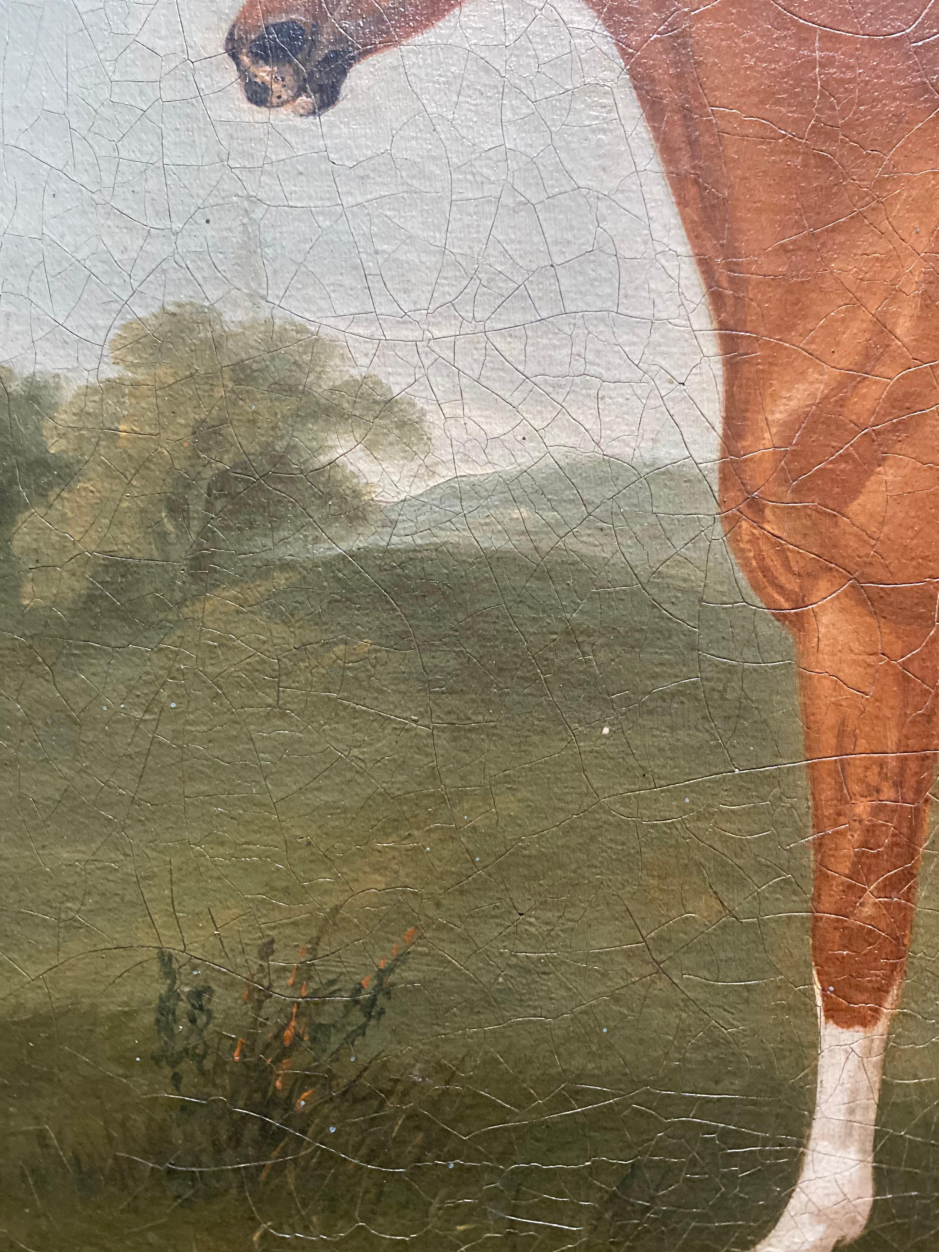 A chestnut horse and a goat in a landscape  - English School Painting by John Nost Sartorius