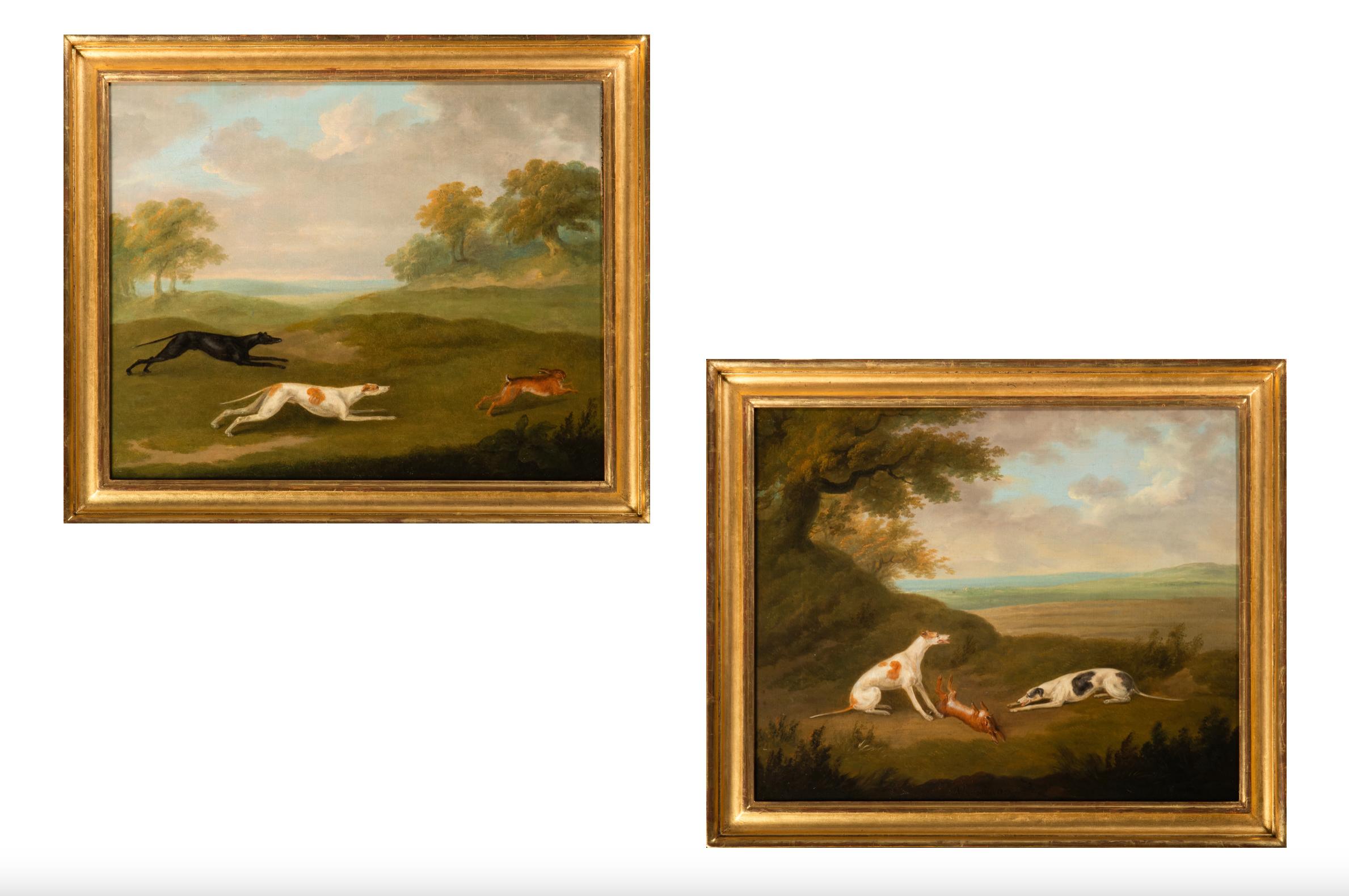 Una coppia - Greyhounds coursing