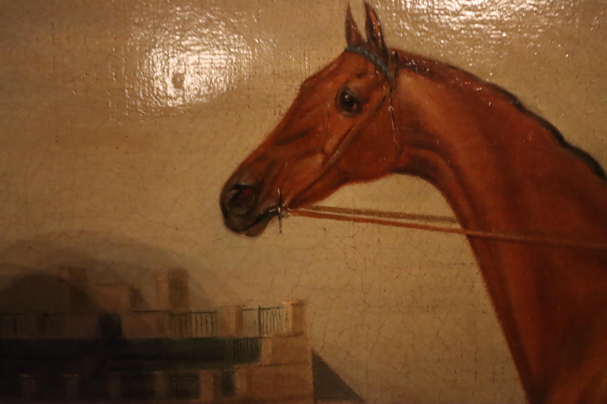 „Biddick (von Dick Andrews)“, ein Bay-Rennpferd, mit Jockey auf 1815 im Angebot 2
