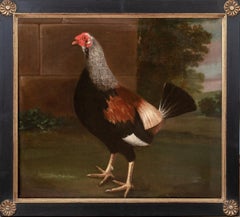 Cockfighting Champion Portrait of "Intrepid", 18th Century
