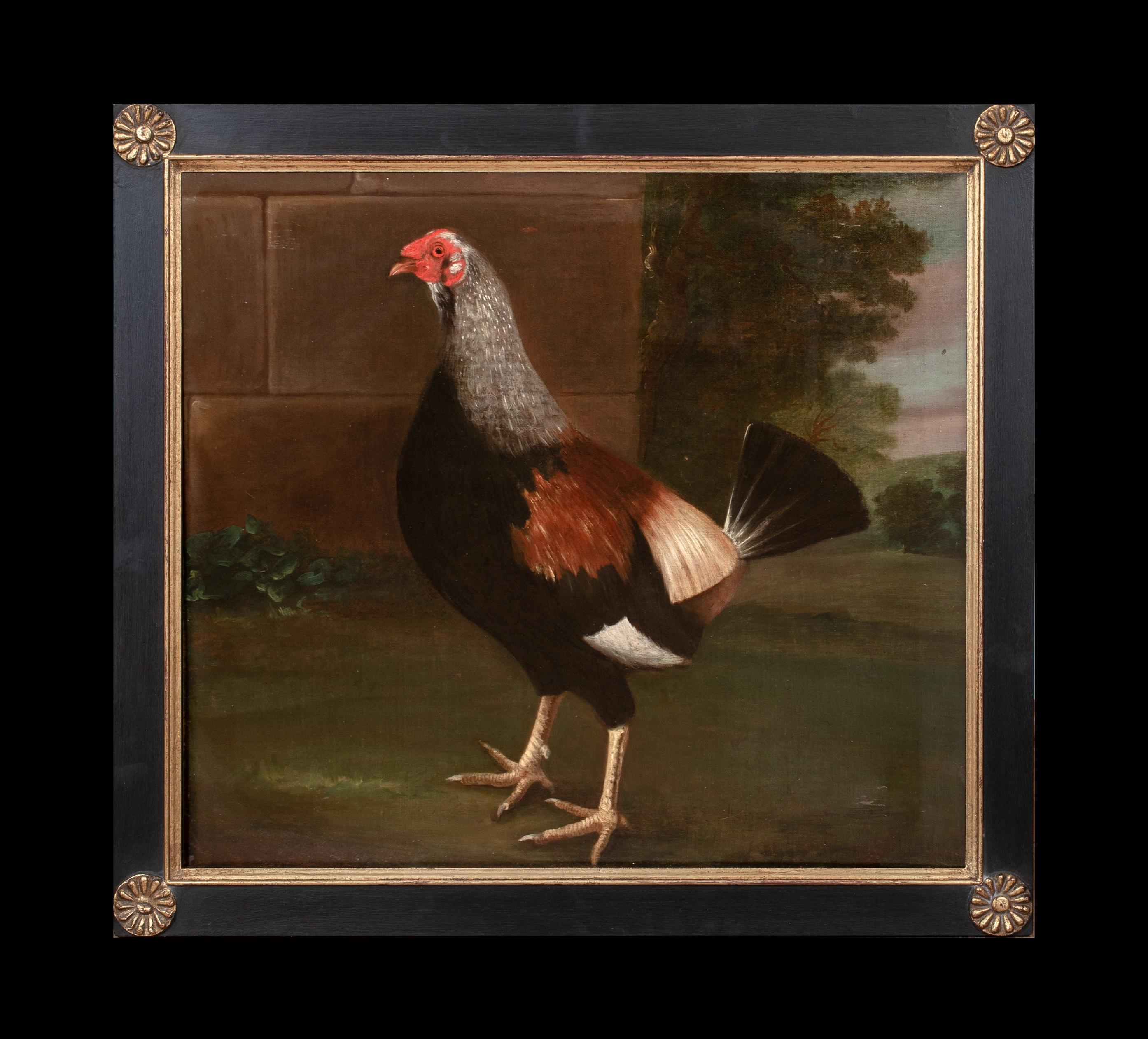 Animal Painting de John Nost Sartorius - Retrato del Campeón de Pelea de Gallos "Intrépido", Siglo XVIII