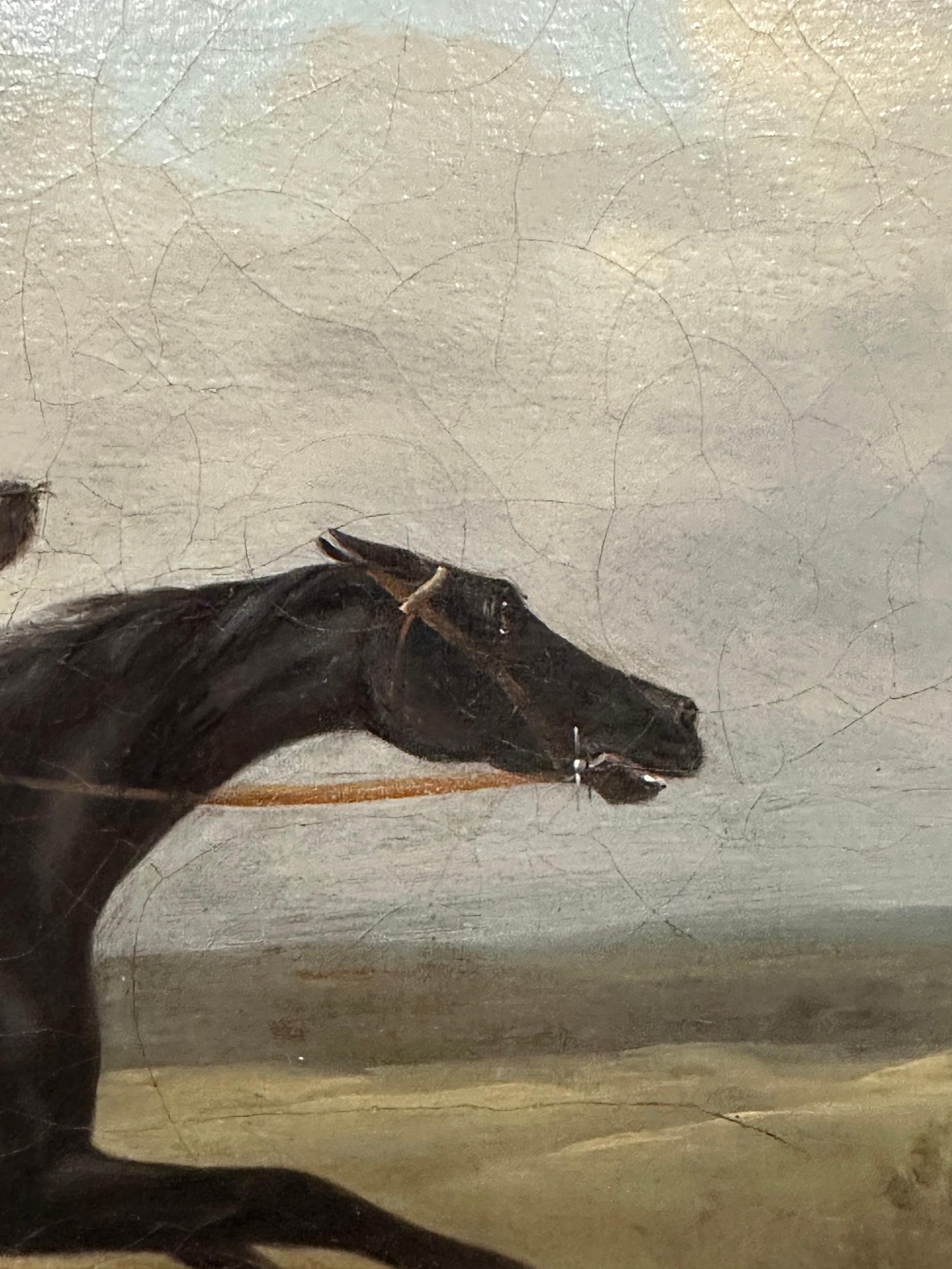 John Nost Sartorius (1759–1828)
Fox Hunter and Hounds
Oil on canvas, circa 1810
Provenance: Ackermann & Johnson, London

A fine and spirited example of early 19th-century English sporting art by the celebrated equestrian painter John Nost Sartorius,