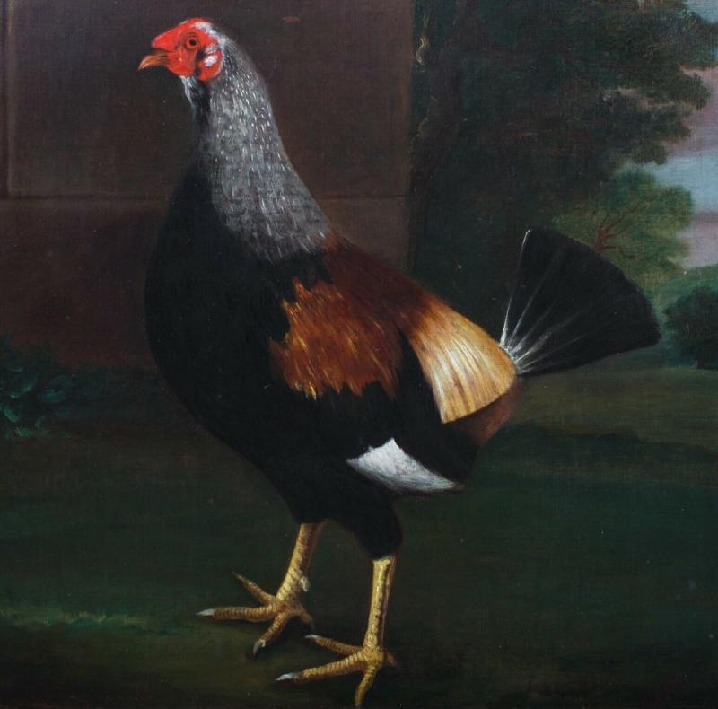 Porträt eines Hahns mit geschmückten Federn, Kreis von John Nost Sartorius im Angebot 2