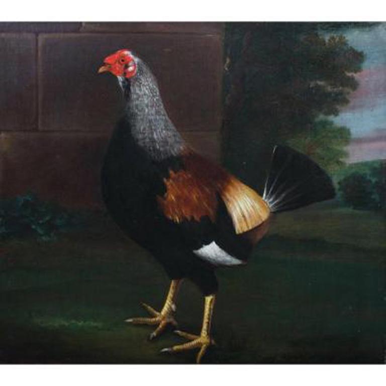 Porträt eines Hahns mit geschmückten Federn, Kreis von John Nost Sartorius im Angebot 1