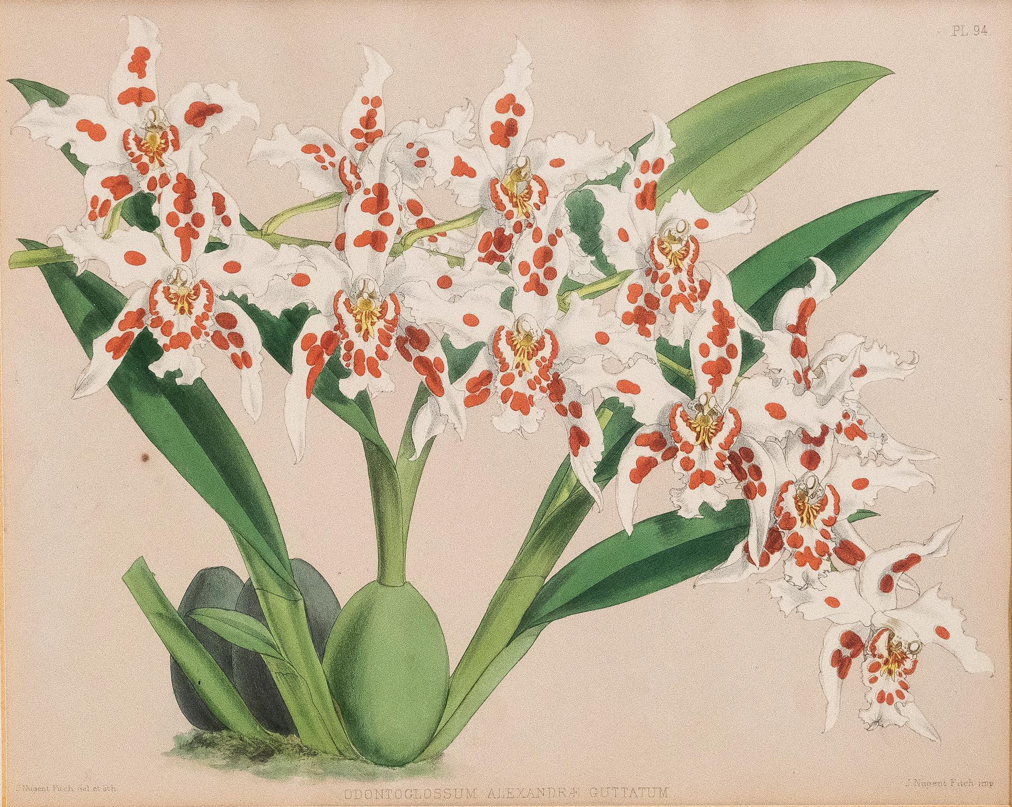 Planta Impresiones y múltiplos